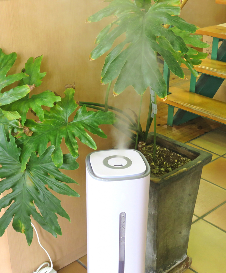 観葉植物 冬の室内管理で乾燥対策におすすめの加湿器 Ryokuzen Geen